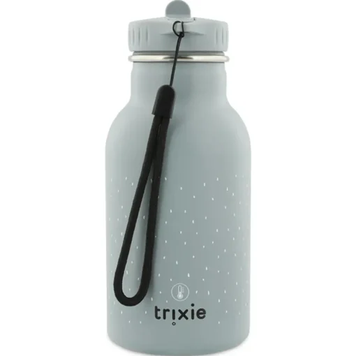 Insulated Water Bottle