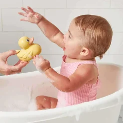 Itzy Ducky Family
