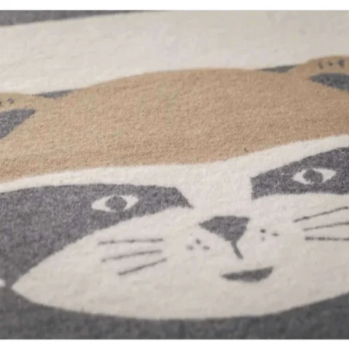 Juwel Raccoon (90x70cm)