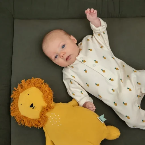 Large Plush Toy