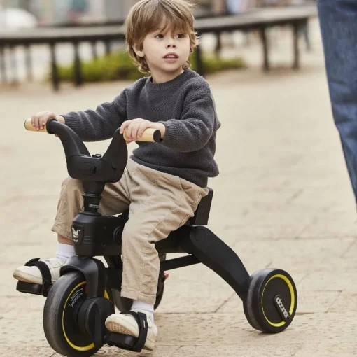 Liki Trike S5