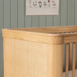 Marin with Cane 3-in-1 Crib