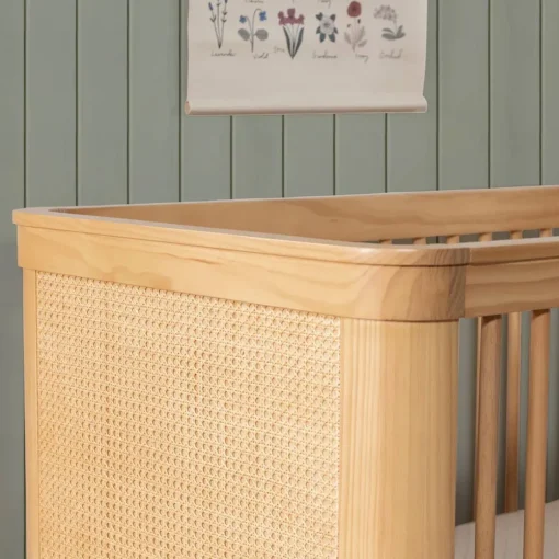 Marin with Cane 3-in-1 Crib