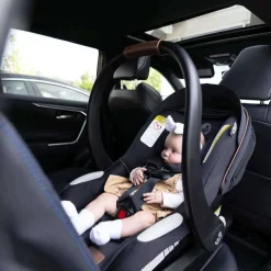 Mico Luxe+ Car Seat