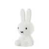 Miffy First Light
