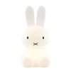 Miffy Star Light