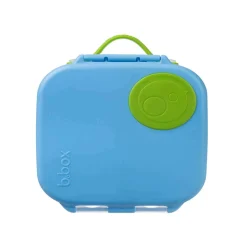 Mini Lunchbox