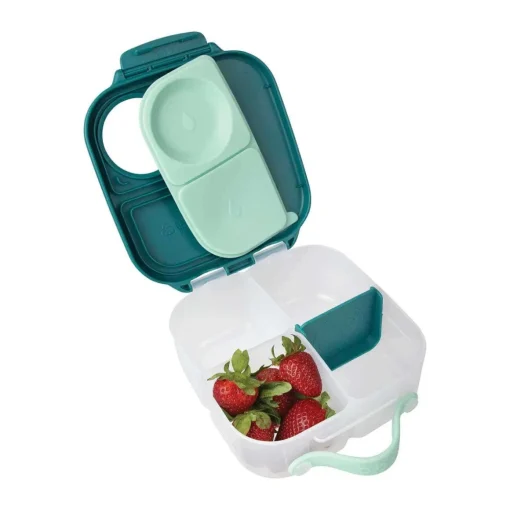Mini Lunchbox