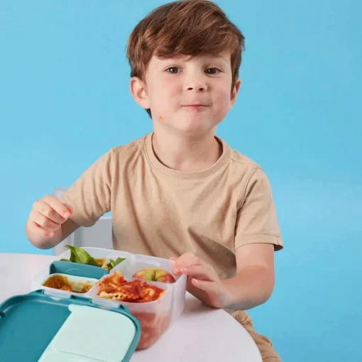 Mini Lunchbox