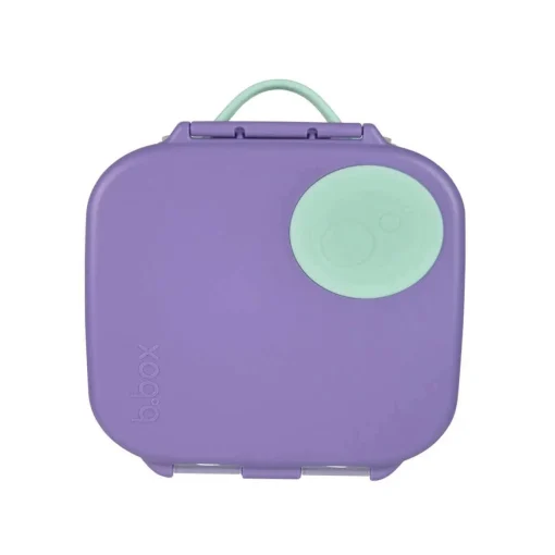 Mini Lunchbox