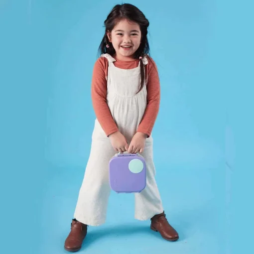 Mini Lunchbox