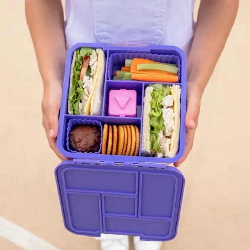 Mixed Bento Cups (3 Pack)