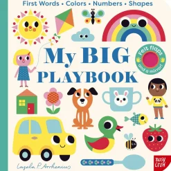 My BIG Playbook