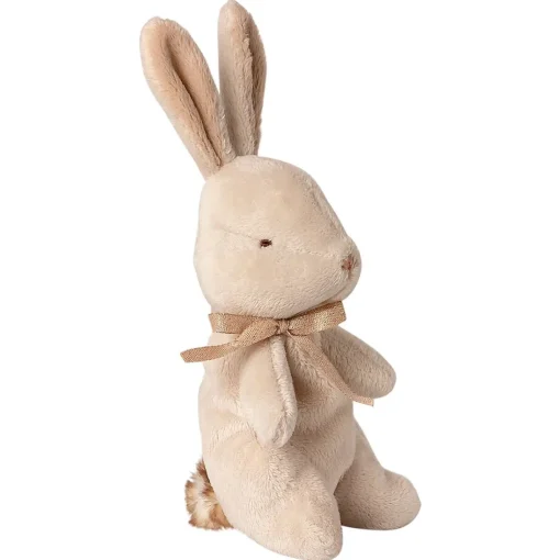 My First Bunny