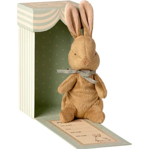 My First Bunny