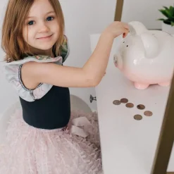 Ombre Pig Bank
