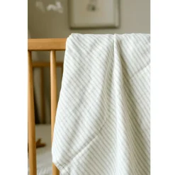 Organic Swaddle Blanket (2 Pack)