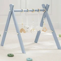 Play Gym