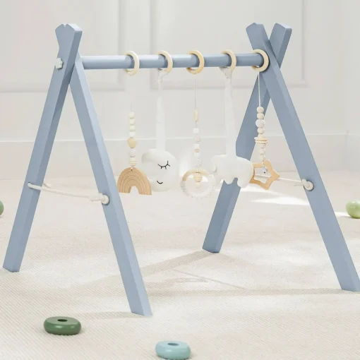 Play Gym