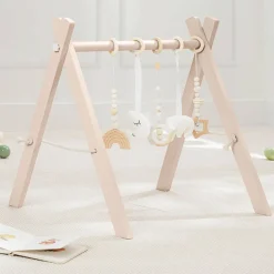 Play Gym