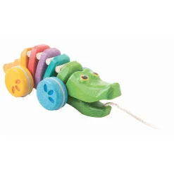 Rainbow Alligator