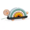 Rainbow Turtle