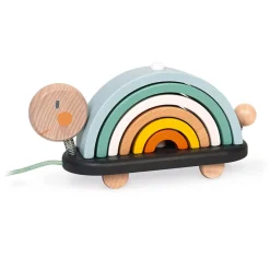 Rainbow Turtle