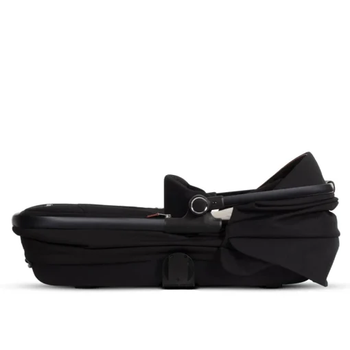 Reef Bassinet