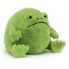 Ricky Rain Frog (Medium)