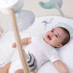 Rising Star Play + Discover Activity Gym