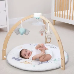 Rising Star Play + Discover Activity Gym