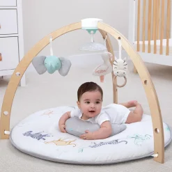 Rising Star Play + Discover Activity Gym