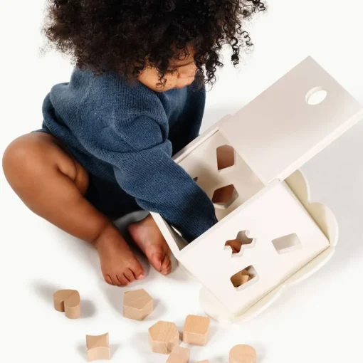Shape Sorter