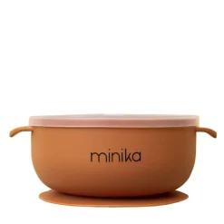 Silicone Bowl with Lid
