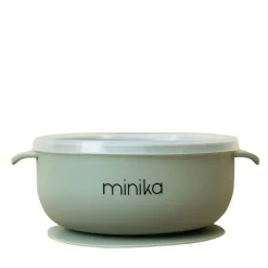 Silicone Bowl with Lid
