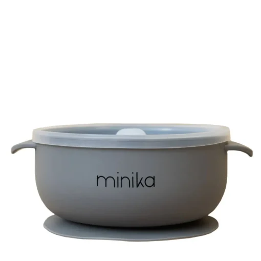 Silicone Bowl with Lid