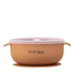 Silicone Bowl with Lid