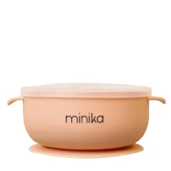 Silicone Bowl with Lid