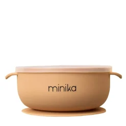 Silicone Bowl with Lid