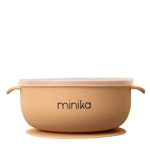 Silicone Bowl with Lid