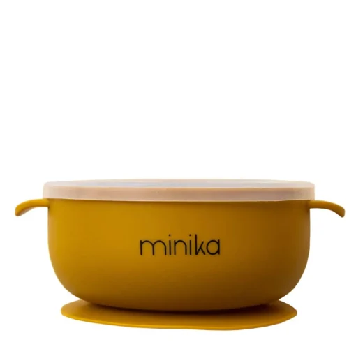 Silicone Bowl with Lid