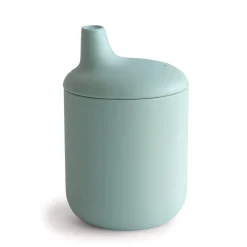Silicone Sippy Cup