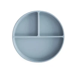 Silicone Suction Plate