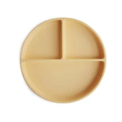 Silicone Suction Plate