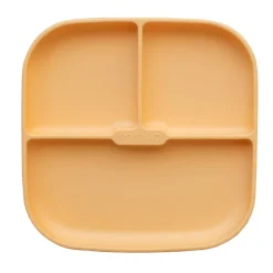 Silicone Suction Plate