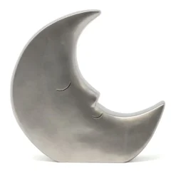 Silver Moon Bank