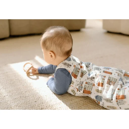 Sleeping Bag 2.5 TOG