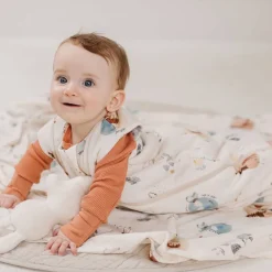 Sleeping Bag 2.5 TOG