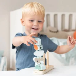 Stacking Toy