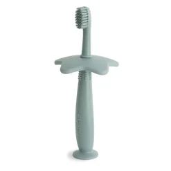 Star Training Toothbrush